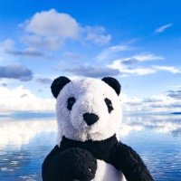 Eli trrazz (@ellien2alea) 's Twitter Profile