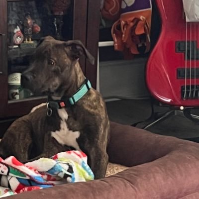 TheCoachB Profile