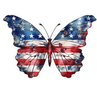 AMP_083103's profile picture. Proud to be American 🇺🇸