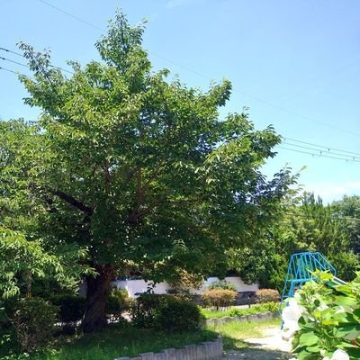 きり🍀さんのプロフィール画像