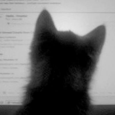 N o b o d yさんのプロフィール画像