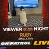 Max_n_Ruby's profile picture. Welcome! I'm K9Ruby, and I love TV. My human, Max, even got me my own! Charlie is a cat. He's here too. Check out more videos on YT, IG & TT @The3nados