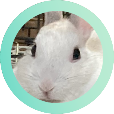 sudakaz's profile picture. 