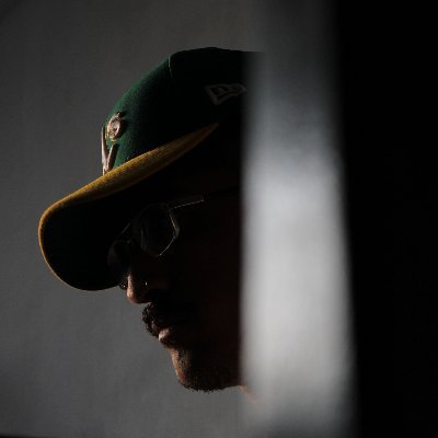 444. archivos de textos varios + imágenes