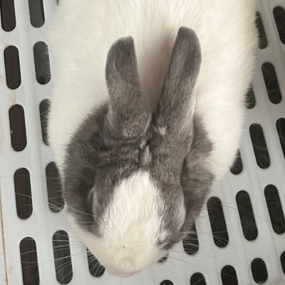 うつしばさんのプロフィール画像
