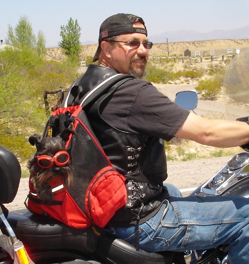 mooseflstc's profile picture. 