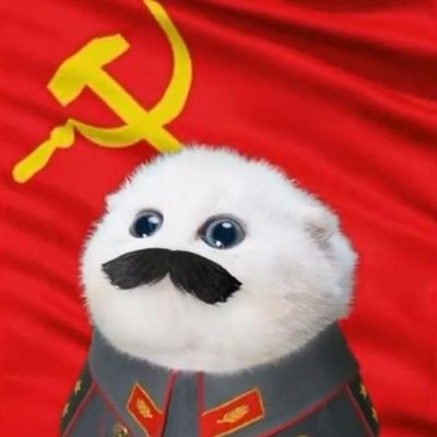 Rahma1719149's profile picture. رجع البتاعة ديه مطرح ما جبتها، وإلا علينا العوض!