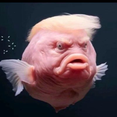 DaveRamire54736's profile picture. 