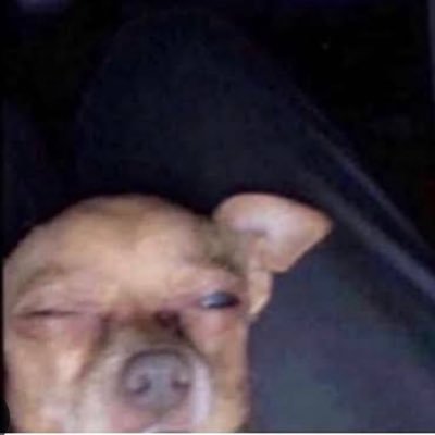 Kelseyschz_'s profile picture. you’re like a dream come true