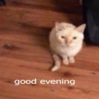 Robotic_Cats_ (@robotic__cats__) 's Twitter Profile