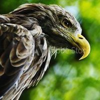 司馬遷都 (@kkchkrujq793415) Twitter profile photo