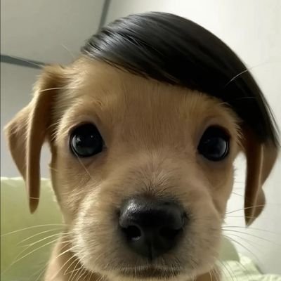 rwi_phi48991's profile picture. 