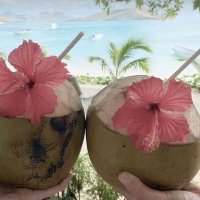 🥥𓇼🌴🫧 (@riirriruriur) Twitter profile photo