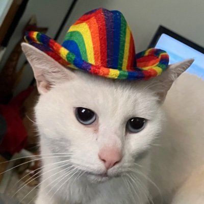 The new and improved https://t.co/qDJlgUnnR5 Gayborhood!!! I lost my account and now I’m back to talk about birds, plants, goats, autism, bikes, disability & Jewish stuff!