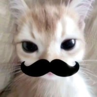 duong (@emduonq) 's Twitter Profile