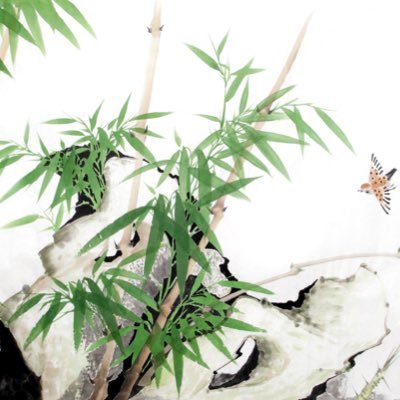 SanSha111111's profile picture. 