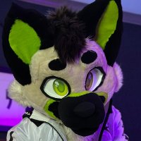 Fxllen (@spicyfxllenad) 's Twitter Profile Photo