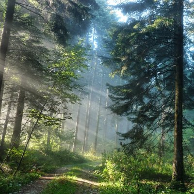 whoami14452261's profile picture. Crypto |  Math