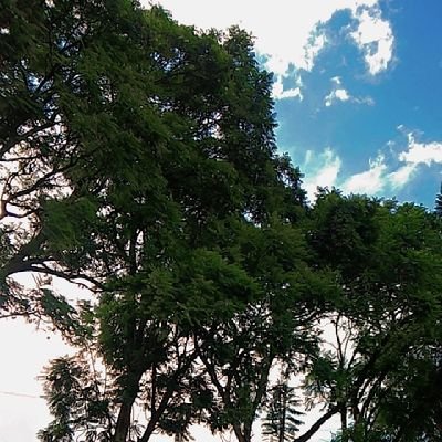 mkenya134's profile picture. 🌹🥀