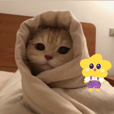 💛🌼 💜🧸