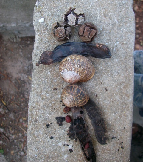 andamummy's profile picture. Blogger, past and future breastfeeder, working mom, amateur photographer