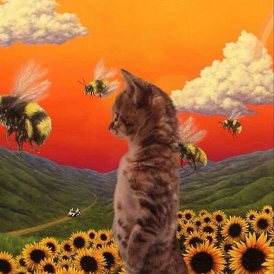 yongislefttoe's profile picture. it's not clocking to u is it ❓❓❓❓