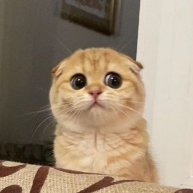 The14thKnight's profile picture. 