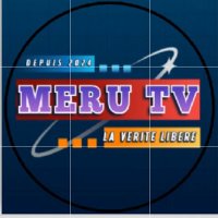 Meru (@meruphd) 's Twitter Profile