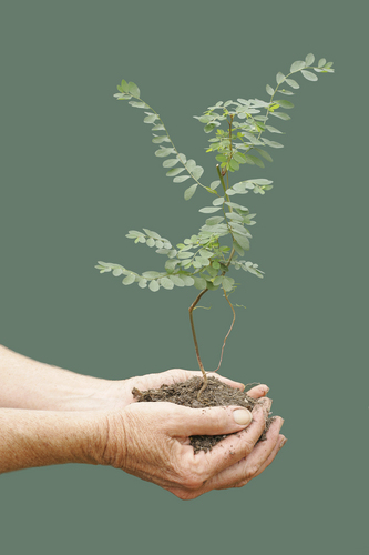 LCHCUK's profile picture. LCNC is a community  initiated and led, sustainable urban development of 6 projects to foster a dynamic, people centred community.