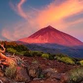 Aberración_Tenerife (@aberracion_tf) 's Twitter Profile Photo