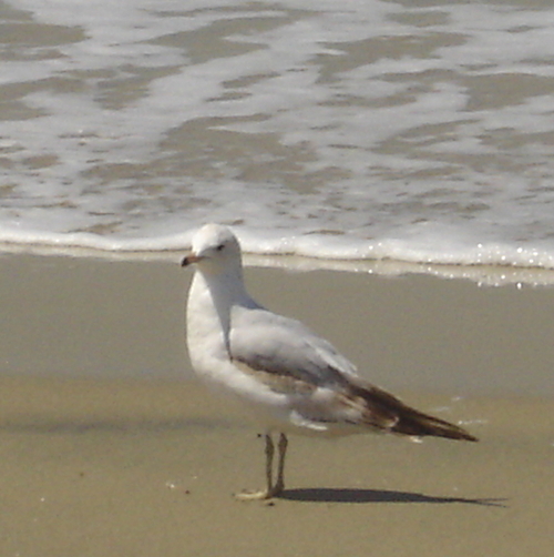 momsnest's profile picture. 