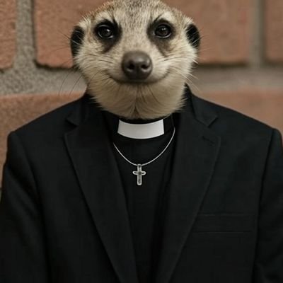 joseadraguz's profile picture. Dream big, work hard, stay focused, and surround yourself with good people.