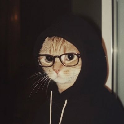 pranseyswhat's profile picture. 