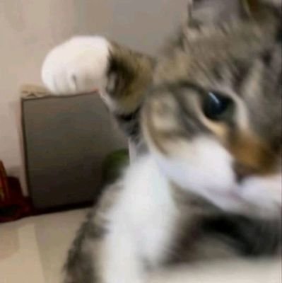 Helloevery66890's profile picture. 