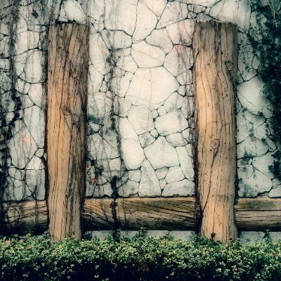 Amazing__Wawa's profile picture. 