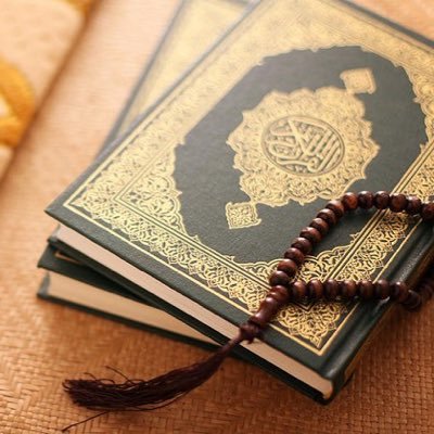 msj20_1's profile picture. 