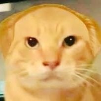 N77KSn8O7Yu6lL9's profile picture. 耄耋，我想你了