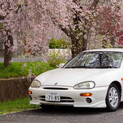 えいかーさんのプロフィール画像
