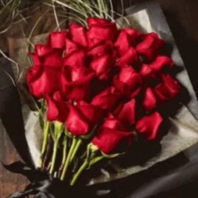 وما الحياة في اللغة إلا أنثى 🌹🌹🌹🌹🌹🌹🌹🌹🌹 فأنتي الحياة أيها الأنثى❤️❤️🌲🌴🌿🥀🌷الحمدلله على نعمتك✈️✈️✈️