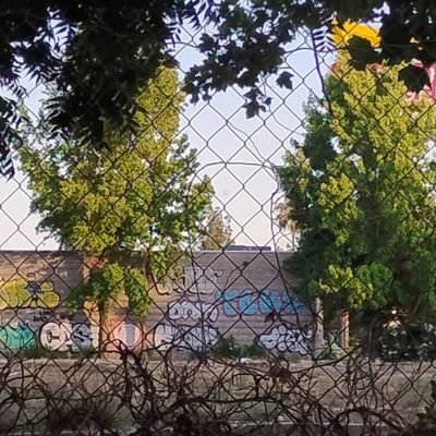 MeagerlyMonk's profile picture. Call now for your free consultation.