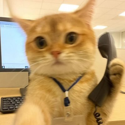 TeemeeTimee's profile picture. 