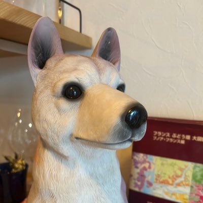 nishiogiasagao's profile picture. 西荻窪にある日本ワイン専門ワインBAR朝顔。グラス一杯から日本ワインが楽しめます。