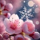 Snowflake (@snowflake_09202) 's Twitter Profile