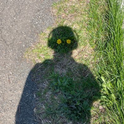 まむさんのプロフィール画像