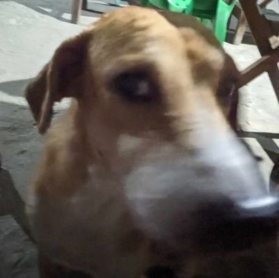 klhrtrsll's profile picture. nothing to hide