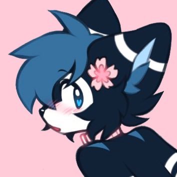 ❀ Silly blue hoosker/proot ❀ 22 ❀ Gay cuddly femboy ❀ Military aircraft nerd and Blahaj addict :3 ❀ P: @wuppyshiba B: @Vulkiri