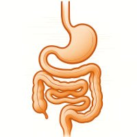 ICOM GI Interest Group (@icom_gastro) 's Twitter Profile Photo ICOM GI Interest Group (@icom_gastro) 's Twitter Profile Photo