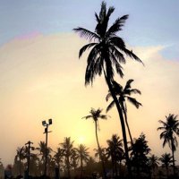 Ebtessam Kh (@ebtsam_kh) 's Twitter Profile