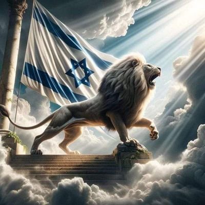 Abraham0782's profile picture. IDF🇮🇱 Shalom