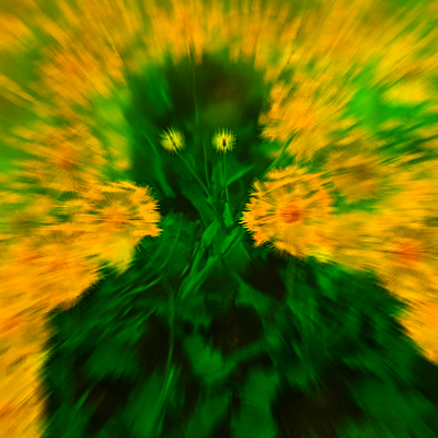 zxriptor Profile